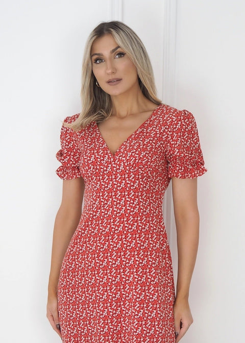MA811071 P3617 RED