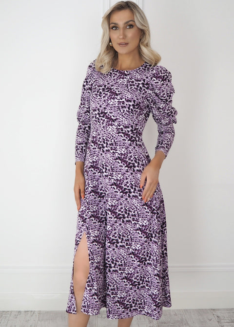 PD31056 P3674 PURPLE